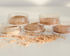 Минеральная тональная основа Anaminerals сатиновая, тон Honey light, 5 г